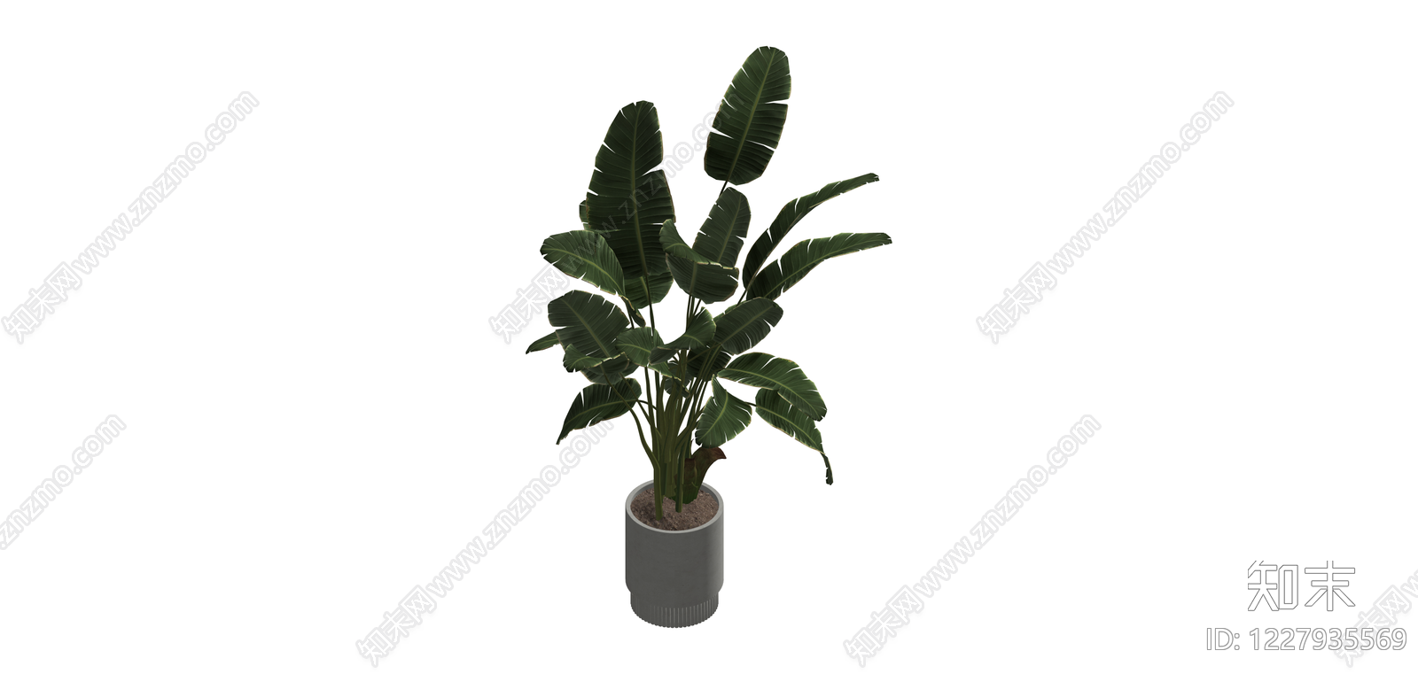 带盆绿植盆栽SU模型下载【ID:1227935569】