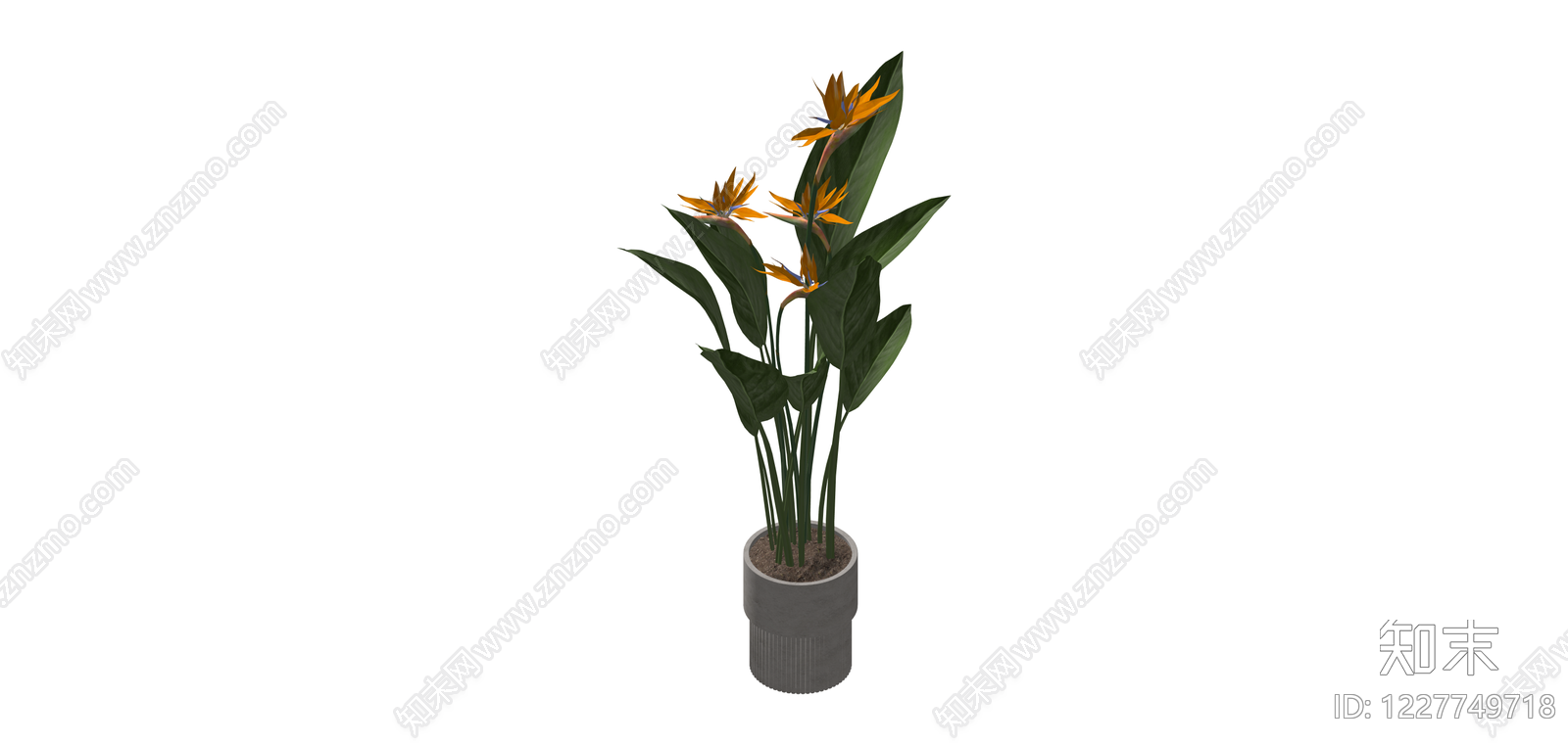 鹤望兰盆栽植物SU模型下载【ID:1227749718】
