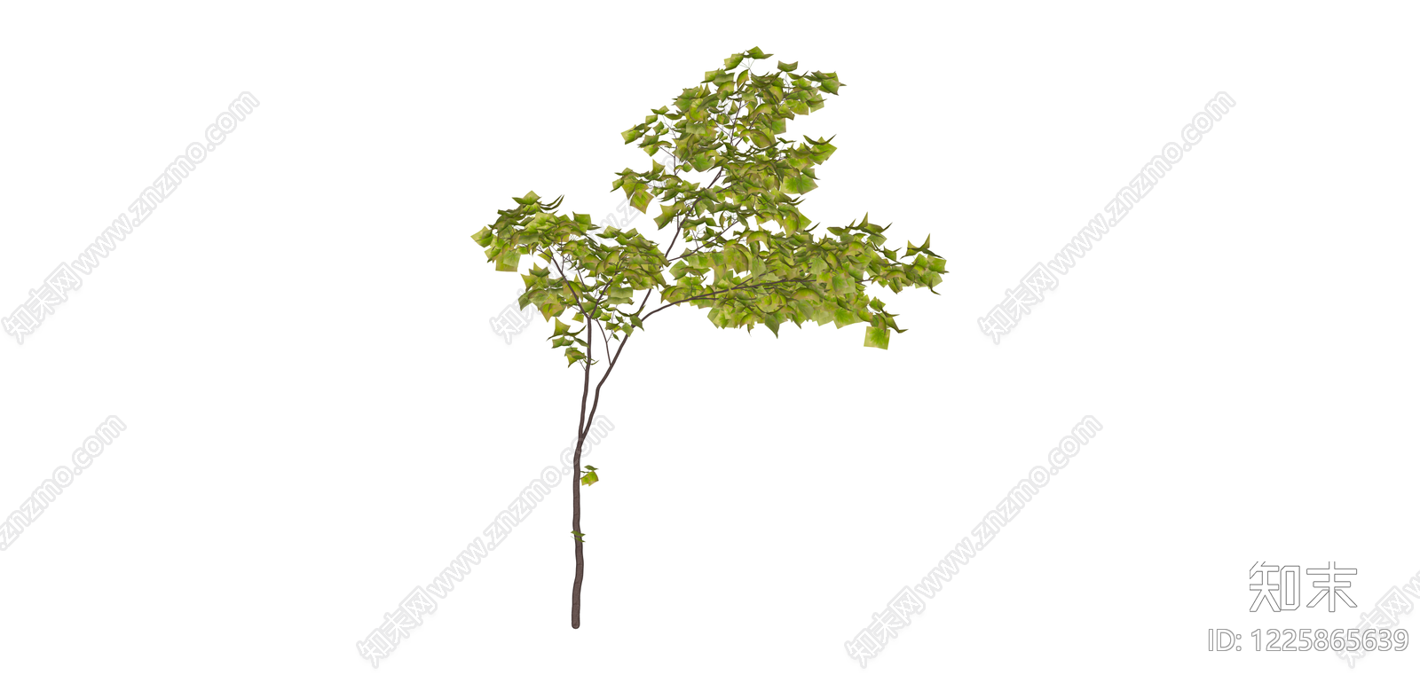 独立绿叶景观树木SU模型下载【ID:1225865639】