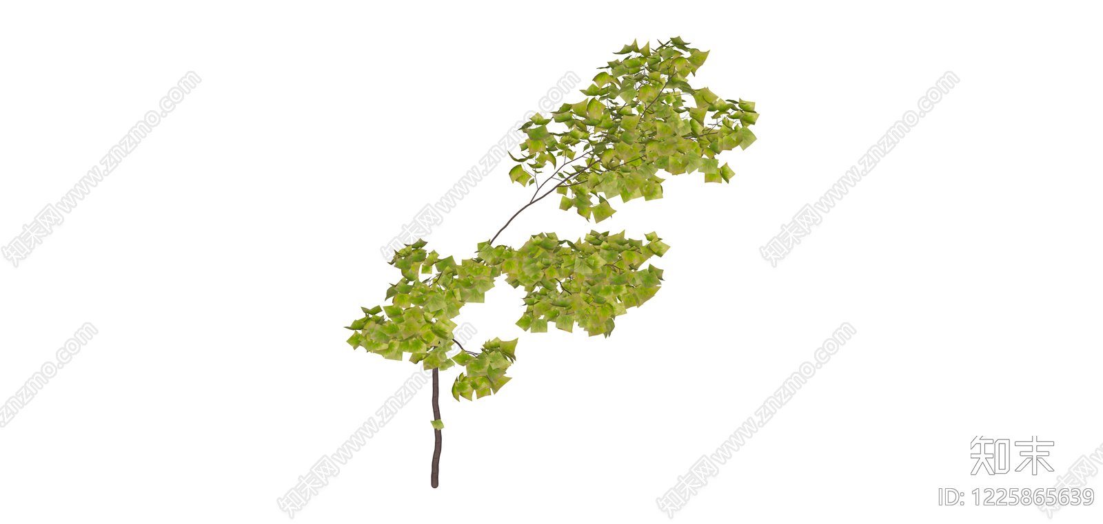 独立绿叶景观树木SU模型下载【ID:1225865639】