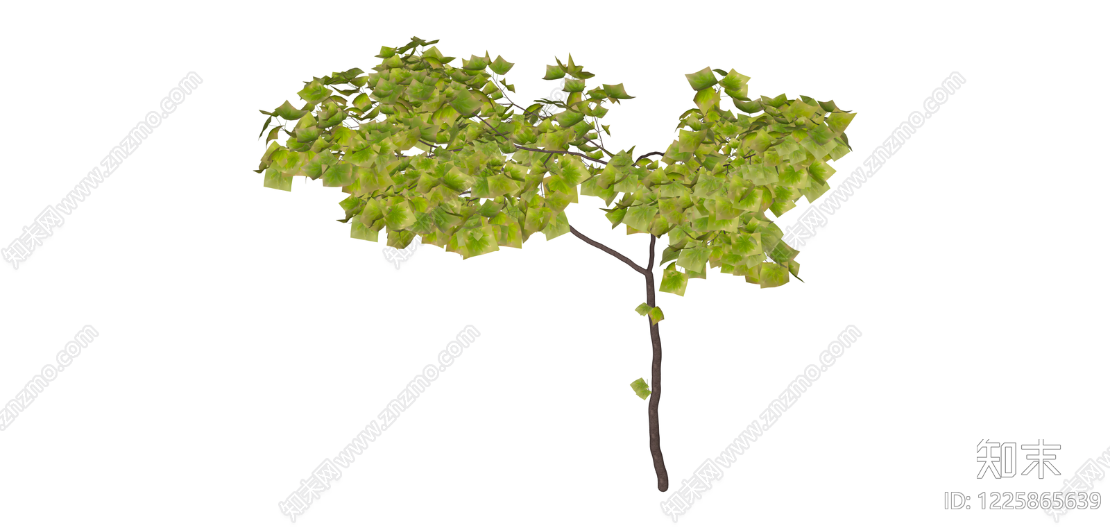独立绿叶景观树木SU模型下载【ID:1225865639】
