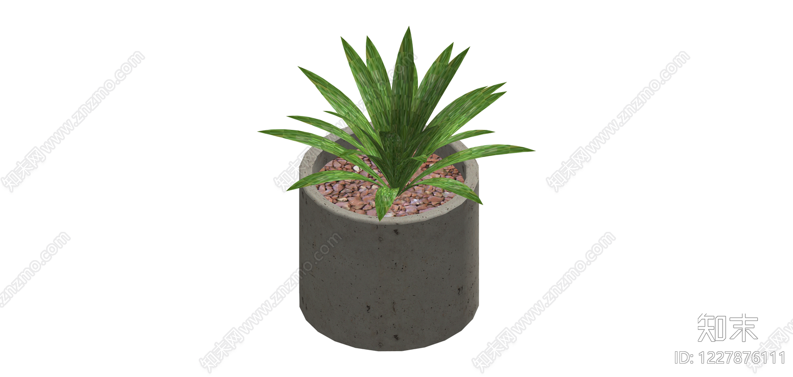 混凝土圆柱盆栽绿植SU模型下载【ID:1227876111】