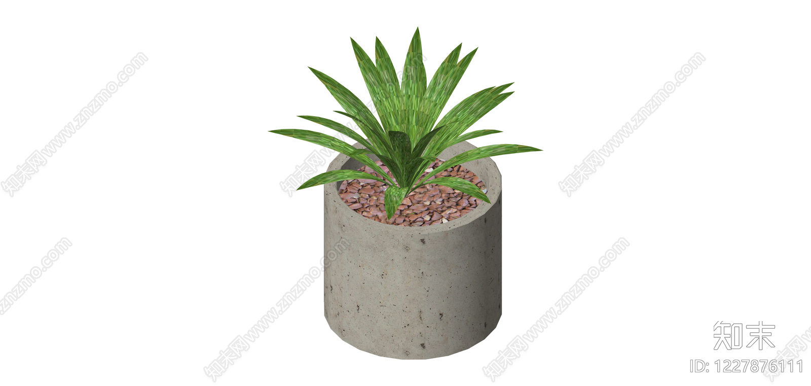 混凝土圆柱盆栽绿植SU模型下载【ID:1227876111】