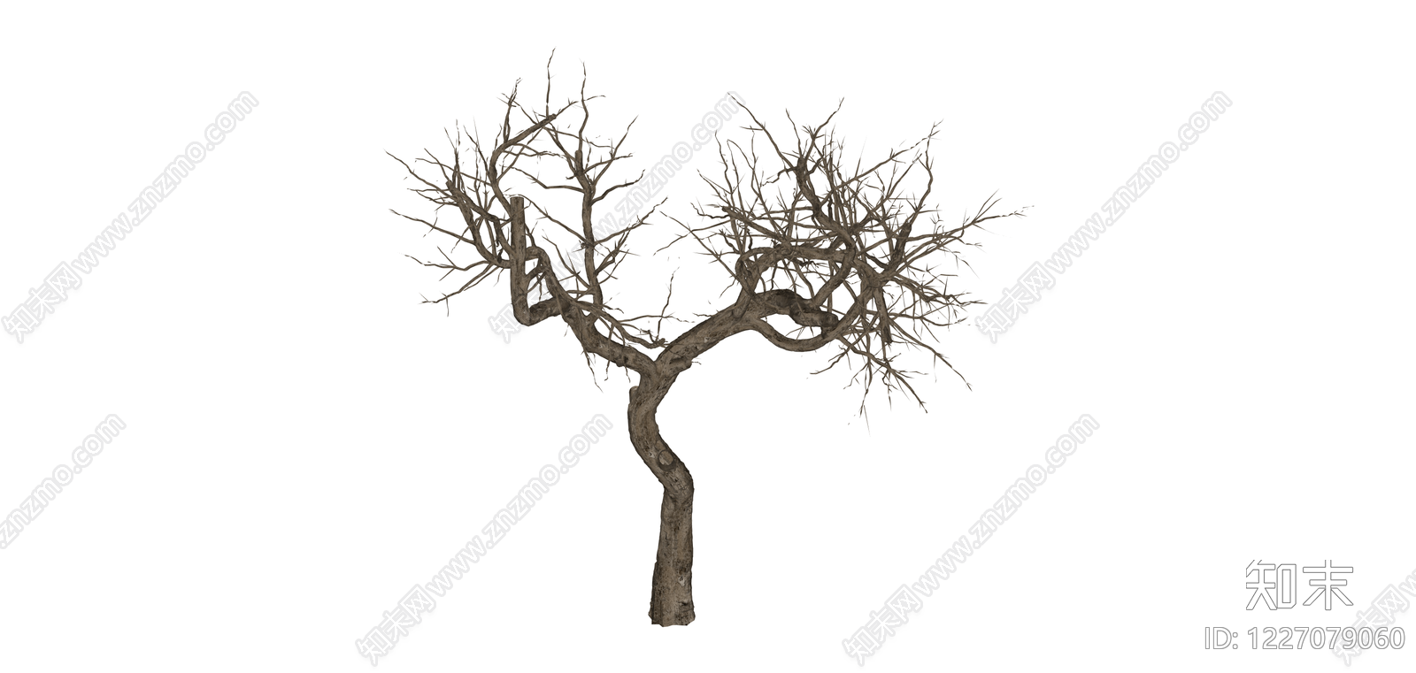 枯树景观模型SU模型下载【ID:1227079060】