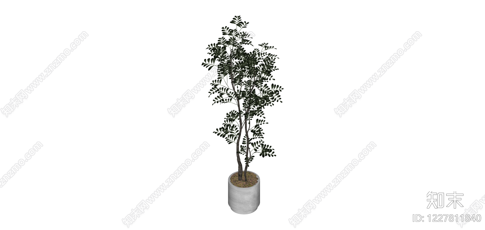 盆栽绿植组合SU模型下载【ID:1227811840】
