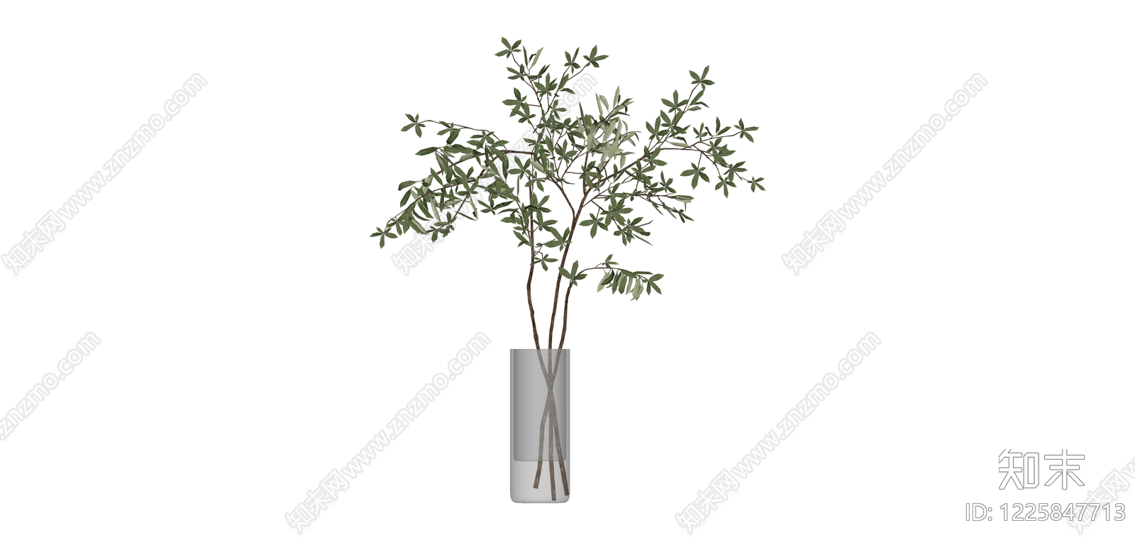 仿真橄榄枝盆栽SU模型下载【ID:1225847713】