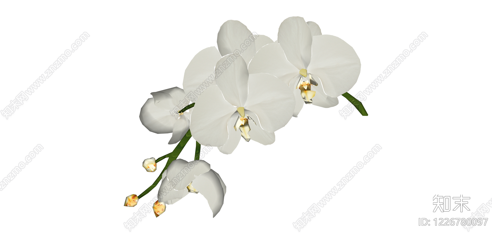 白色蝴蝶兰花艺组合SU模型下载【ID:1226780097】