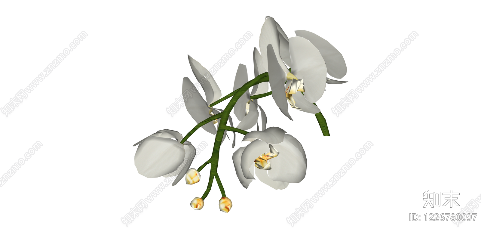 白色蝴蝶兰花艺组合SU模型下载【ID:1226780097】