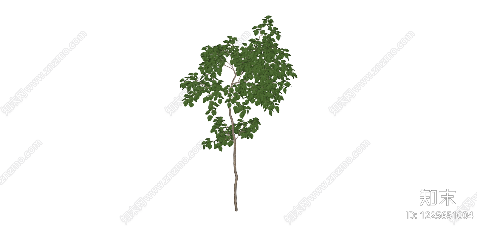 独立景观乔木模型SU模型下载【ID:1225651004】