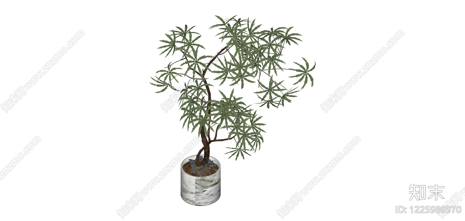 带盆绿植盆栽SU模型下载【ID:1225989970】