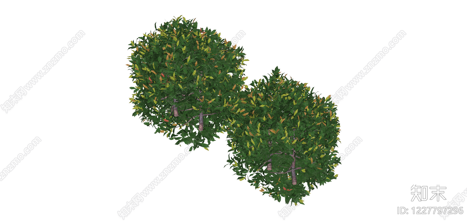 双球绿植景观组合SU模型下载【ID:1227797296】