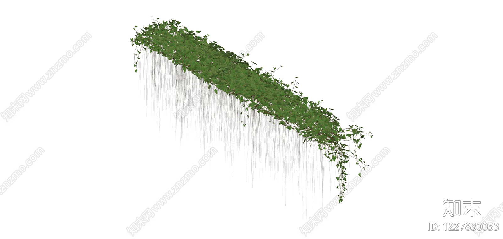 悬垂绿植藤蔓组件SU模型下载【ID:1227830053】