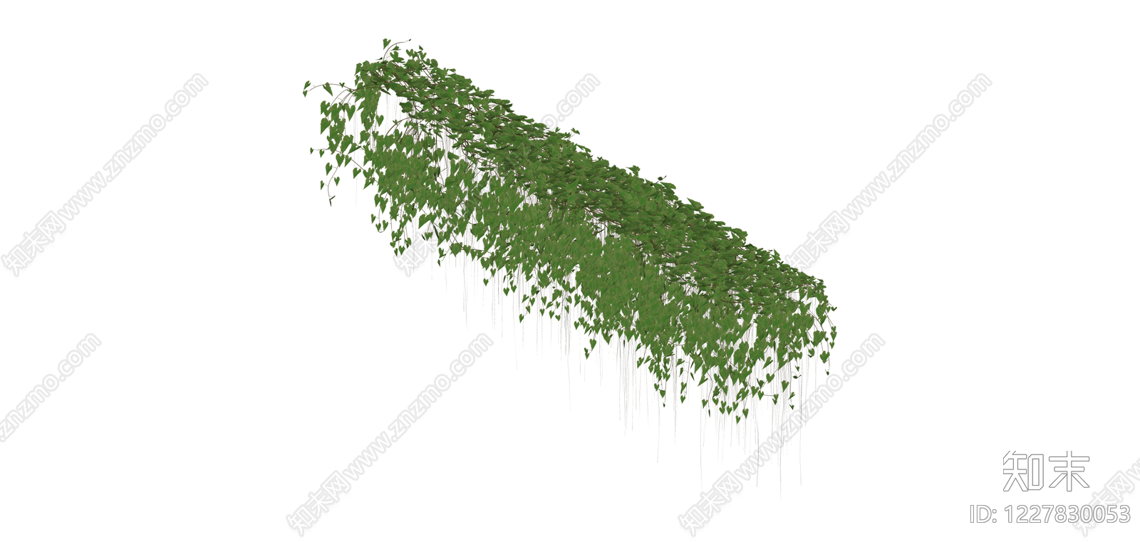 悬垂绿植藤蔓组件SU模型下载【ID:1227830053】