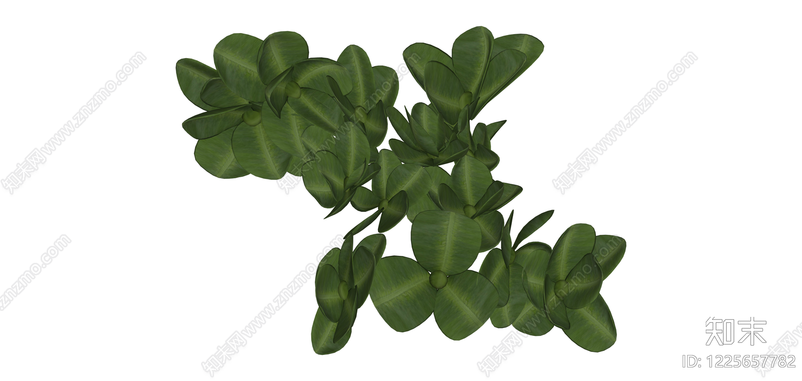 绿色四叶草藤蔓植物SU模型下载【ID:1225657782】