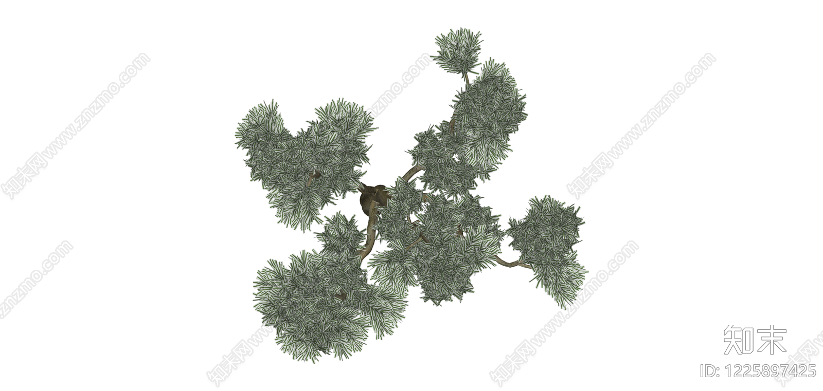 仿真松树模型SU模型下载【ID:1225897425】