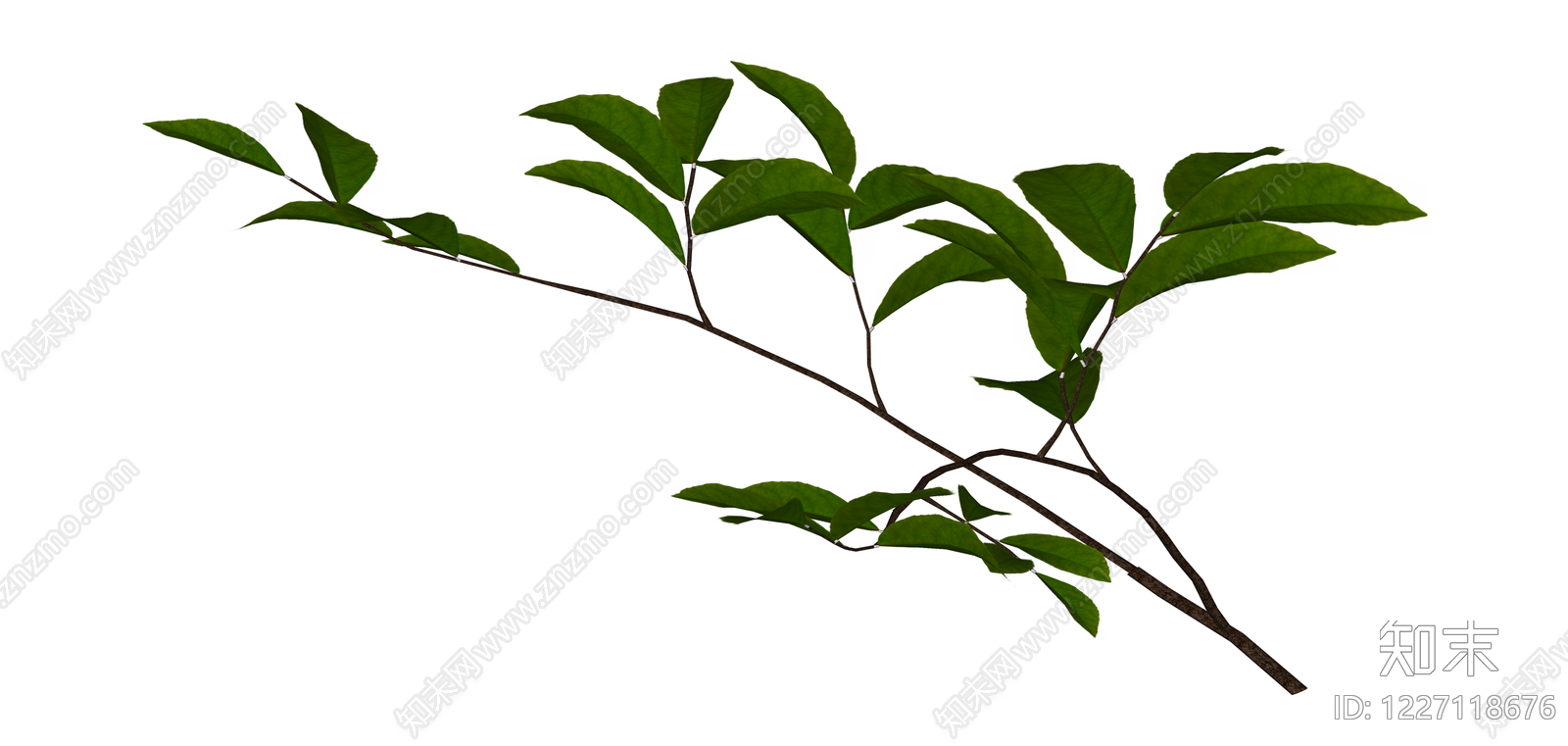 绿色植物枝叶组件SU模型下载【ID:1227118676】