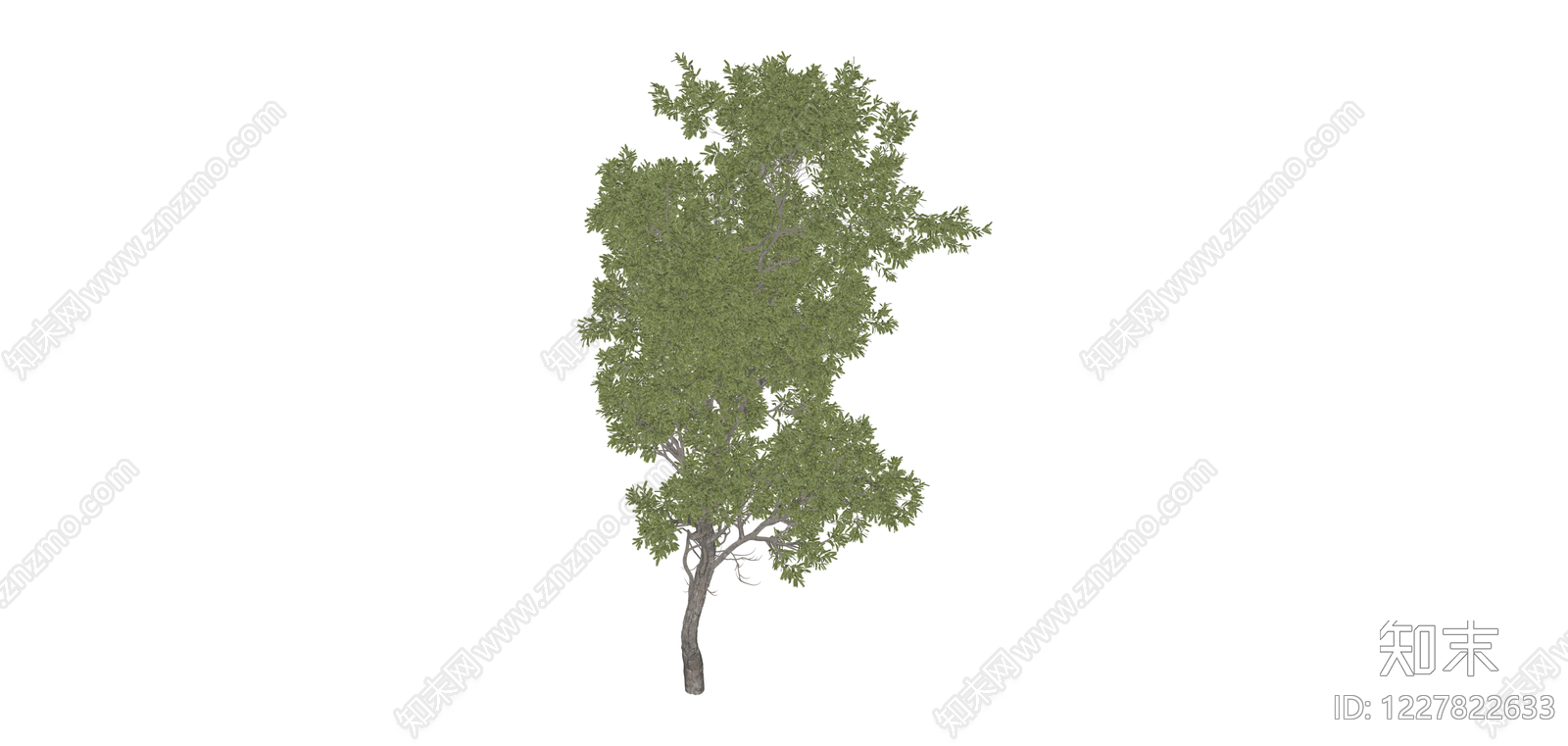 完整景观乔木模型SU模型下载【ID:1227822633】
