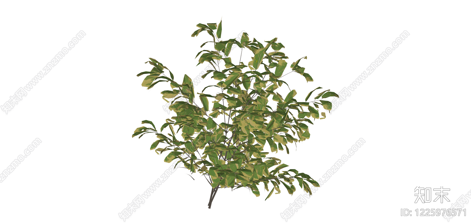 黄绿相间的景观灌木SU模型下载【ID:1225976571】