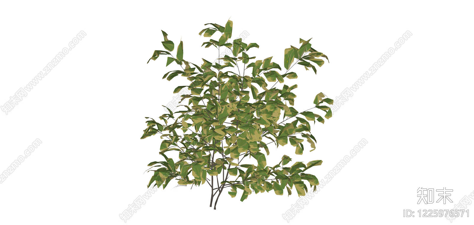 黄绿相间的景观灌木SU模型下载【ID:1225976571】