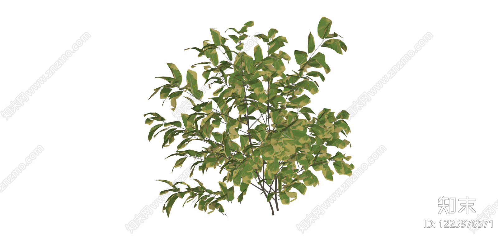 黄绿相间的景观灌木SU模型下载【ID:1225976571】