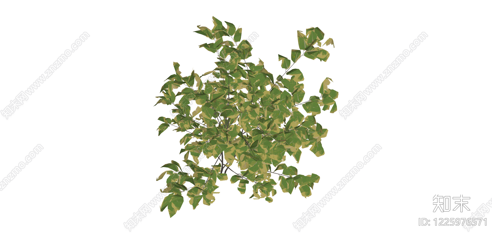黄绿相间的景观灌木SU模型下载【ID:1225976571】