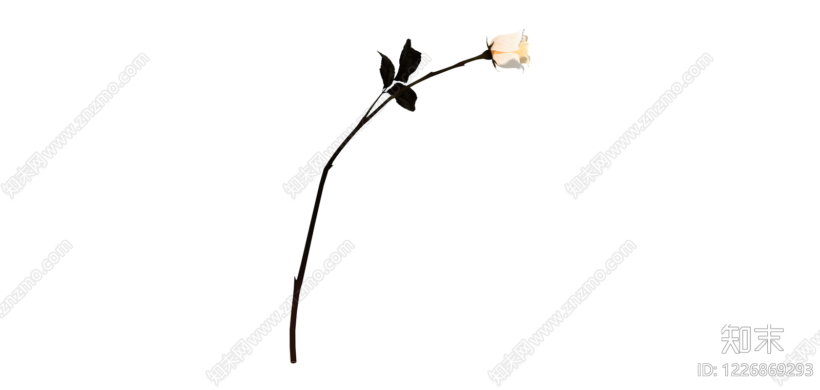 白玫瑰花艺组件SU模型下载【ID:1226869293】