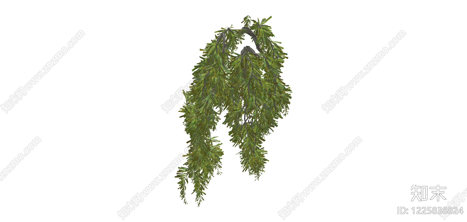 垂枝植物组件SU模型下载【ID:1225838824】