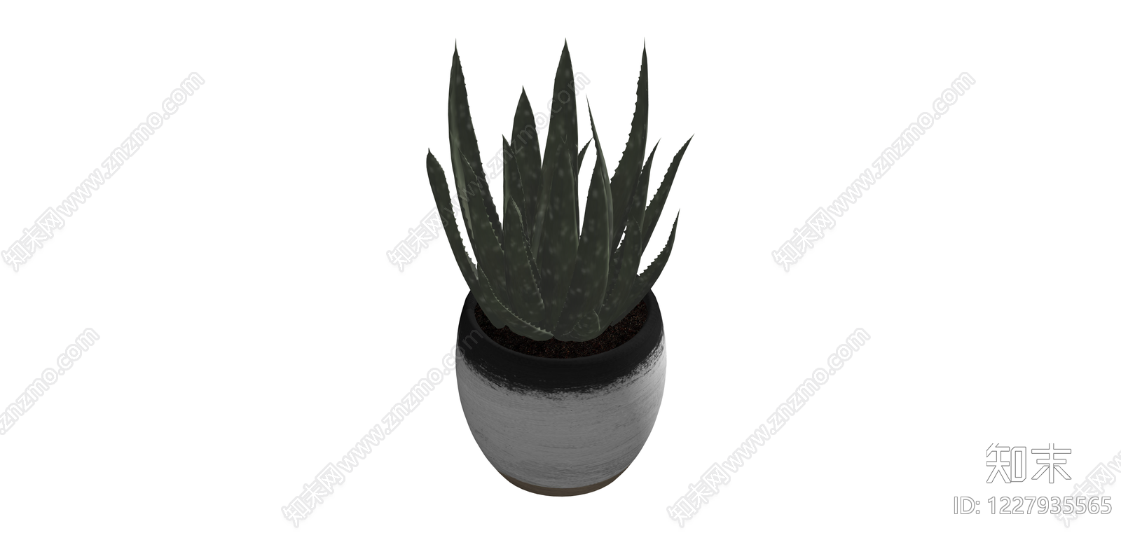 带盆芦荟盆栽SU模型下载【ID:1227935565】