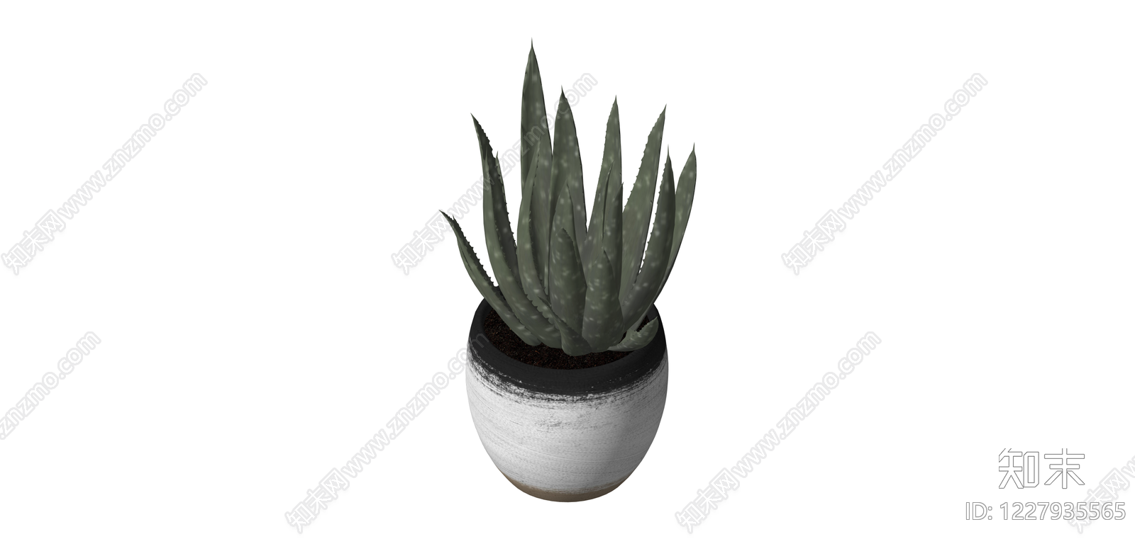 带盆芦荟盆栽SU模型下载【ID:1227935565】