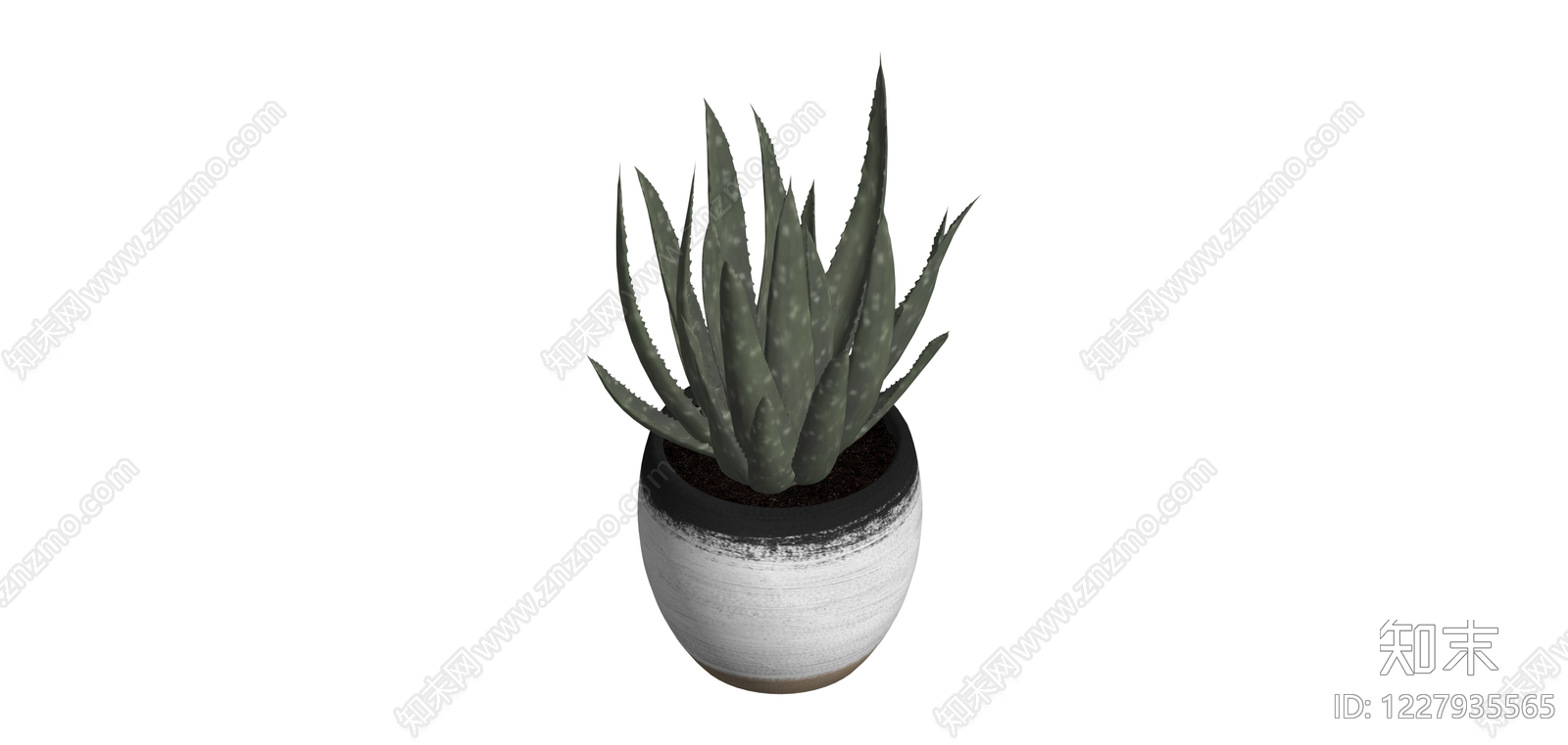 带盆芦荟盆栽SU模型下载【ID:1227935565】