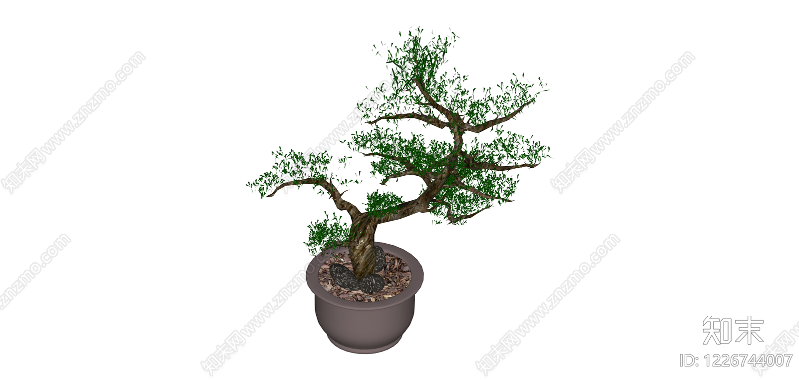 盆栽造型植物模型SU模型下载【ID:1226744007】