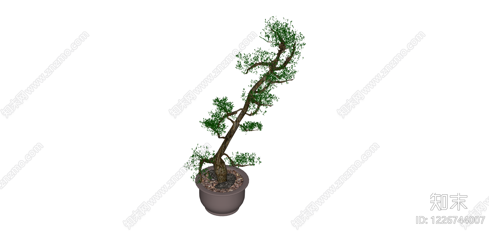 盆栽造型植物模型SU模型下载【ID:1226744007】
