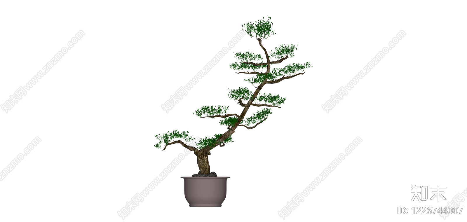 盆栽造型植物模型SU模型下载【ID:1226744007】