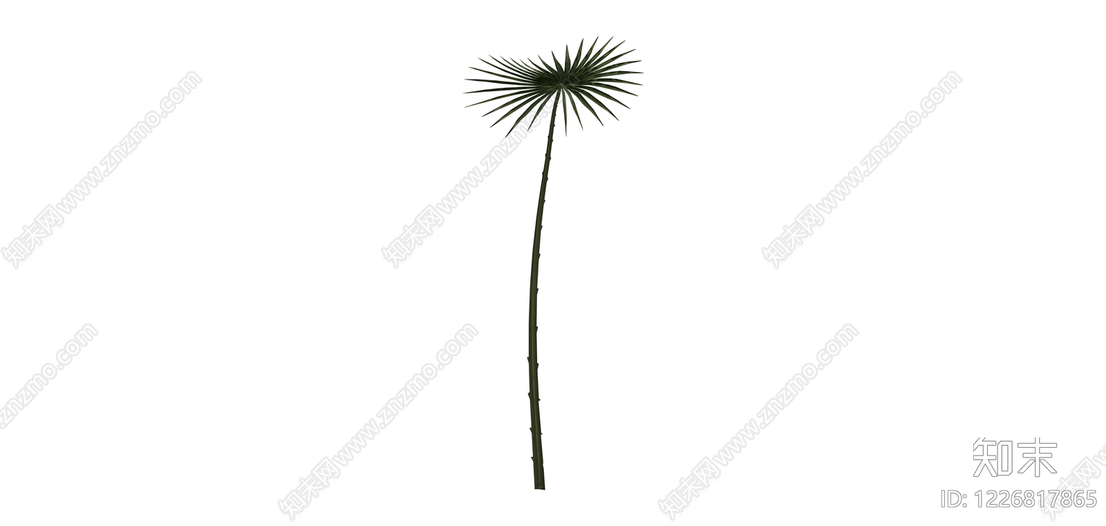 单株棕榈植物模型SU模型下载【ID:1226817865】