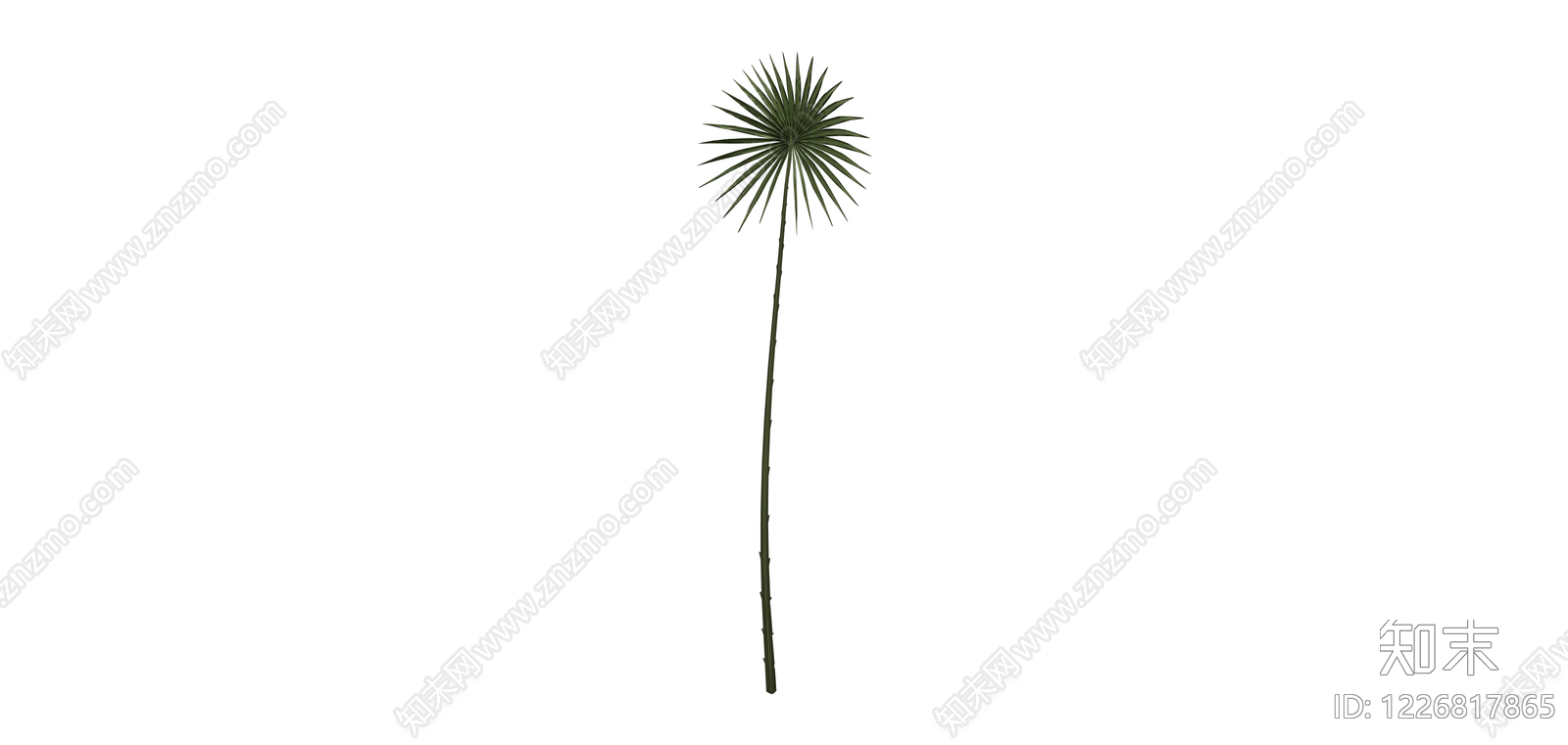 单株棕榈植物模型SU模型下载【ID:1226817865】