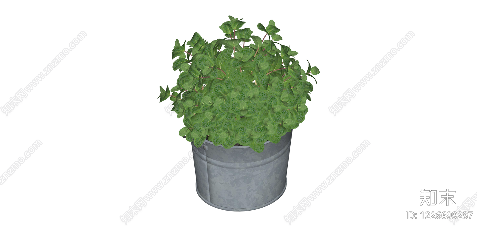 金属桶盆栽绿植SU模型下载【ID:1226699287】