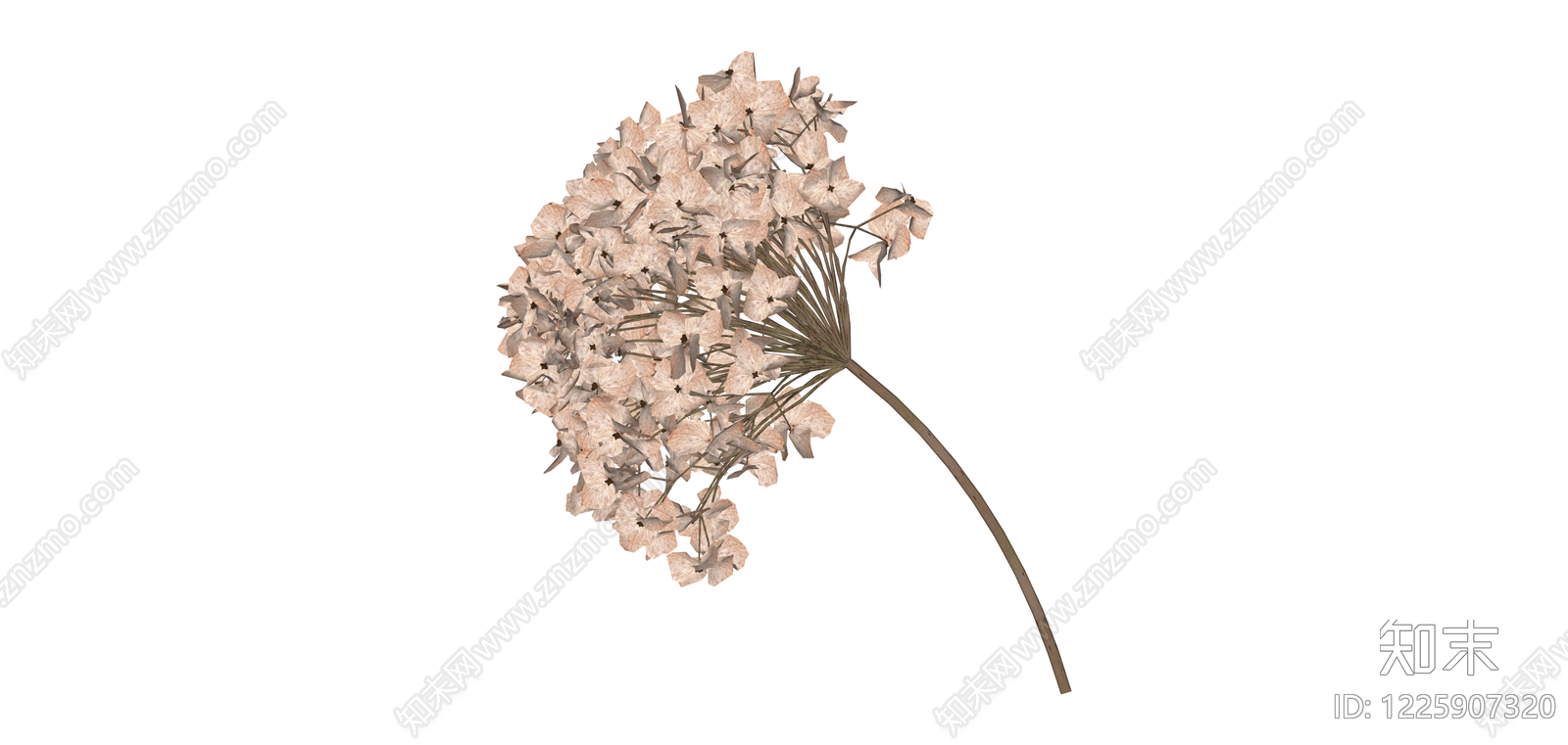 干枯绣球花艺组件SU模型下载【ID:1225907320】