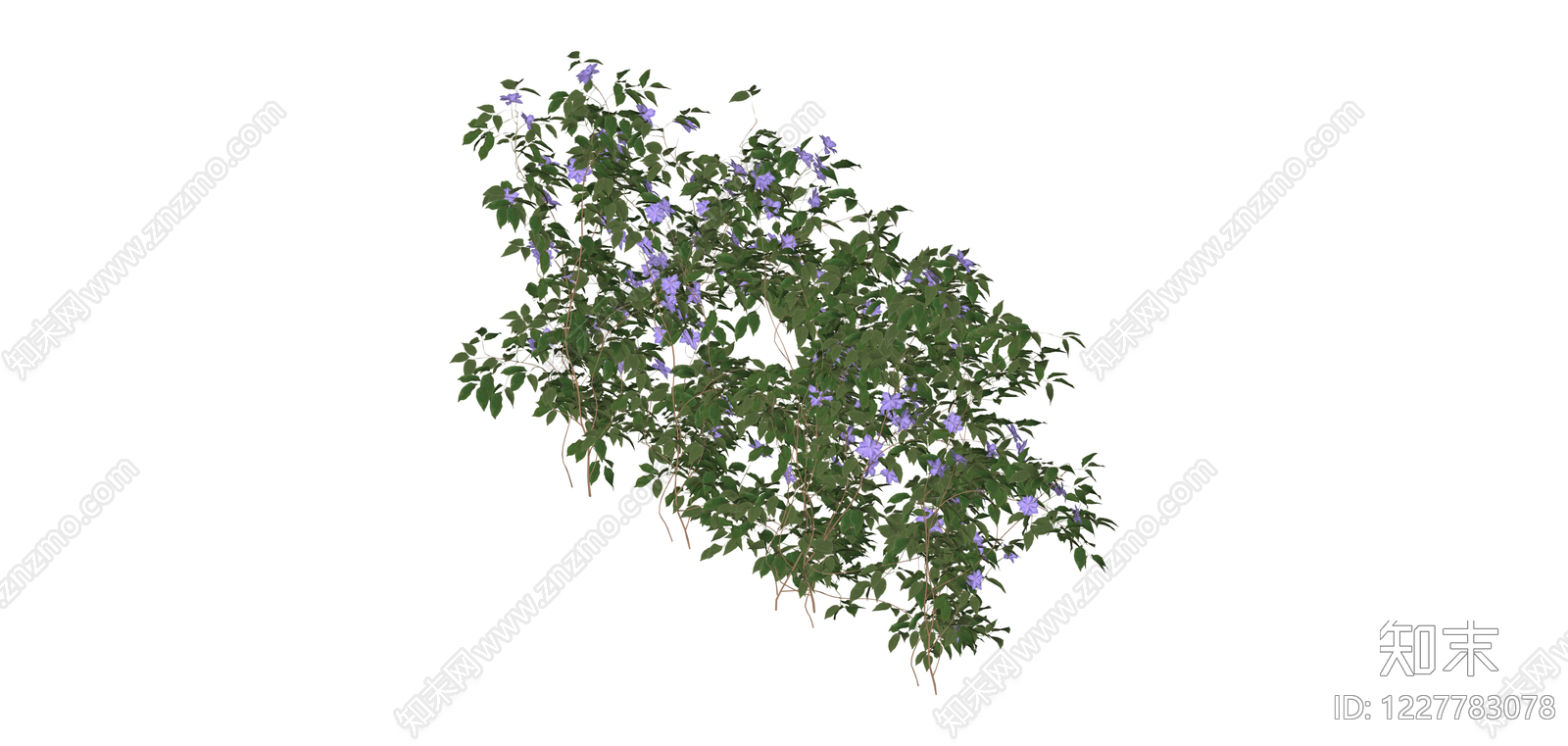 蓝花灌木植物模型SU模型下载【ID:1227783078】