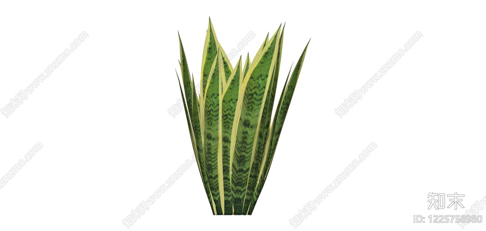 虎尾兰盆栽植物SU模型下载【ID:1225758980】