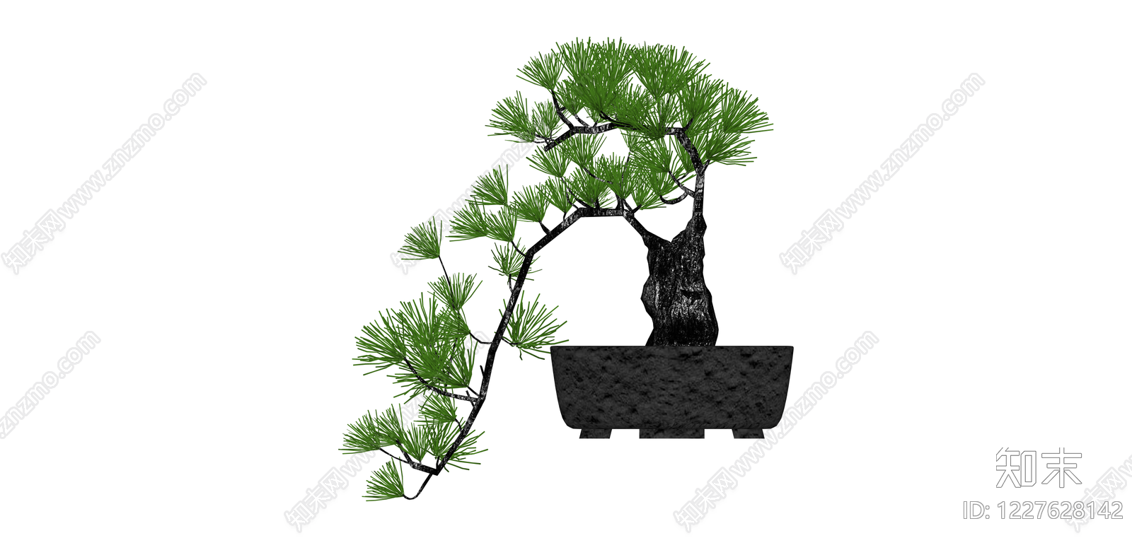 黑盆松树盆景SU模型下载【ID:1227628142】