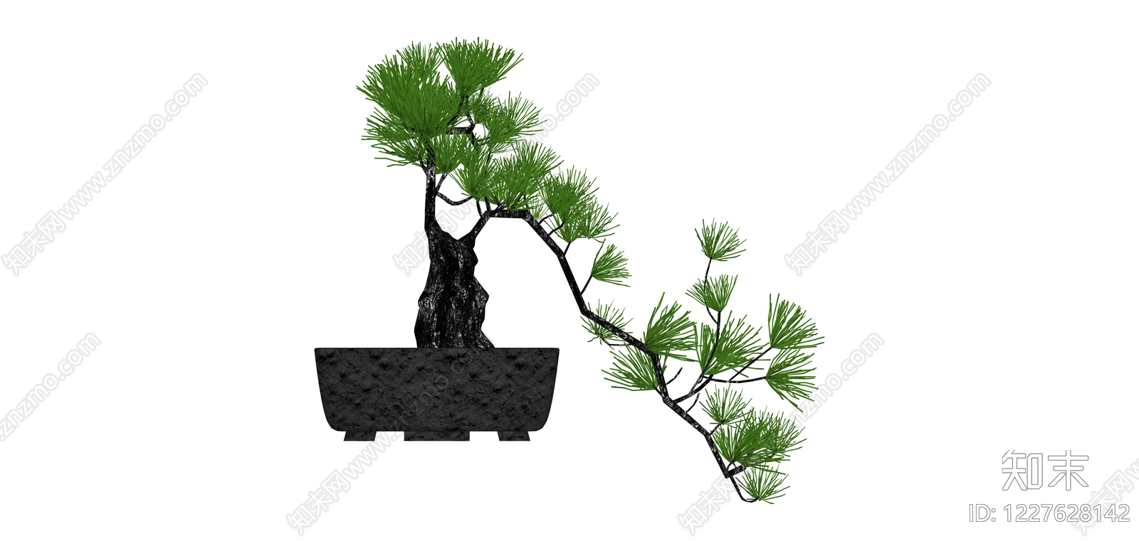 黑盆松树盆景SU模型下载【ID:1227628142】