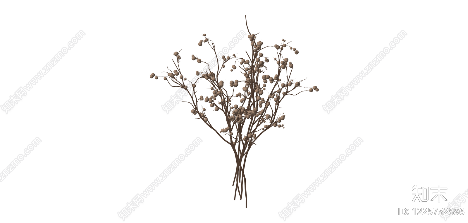 干燥浆果枝条花艺SU模型下载【ID:1225752896】