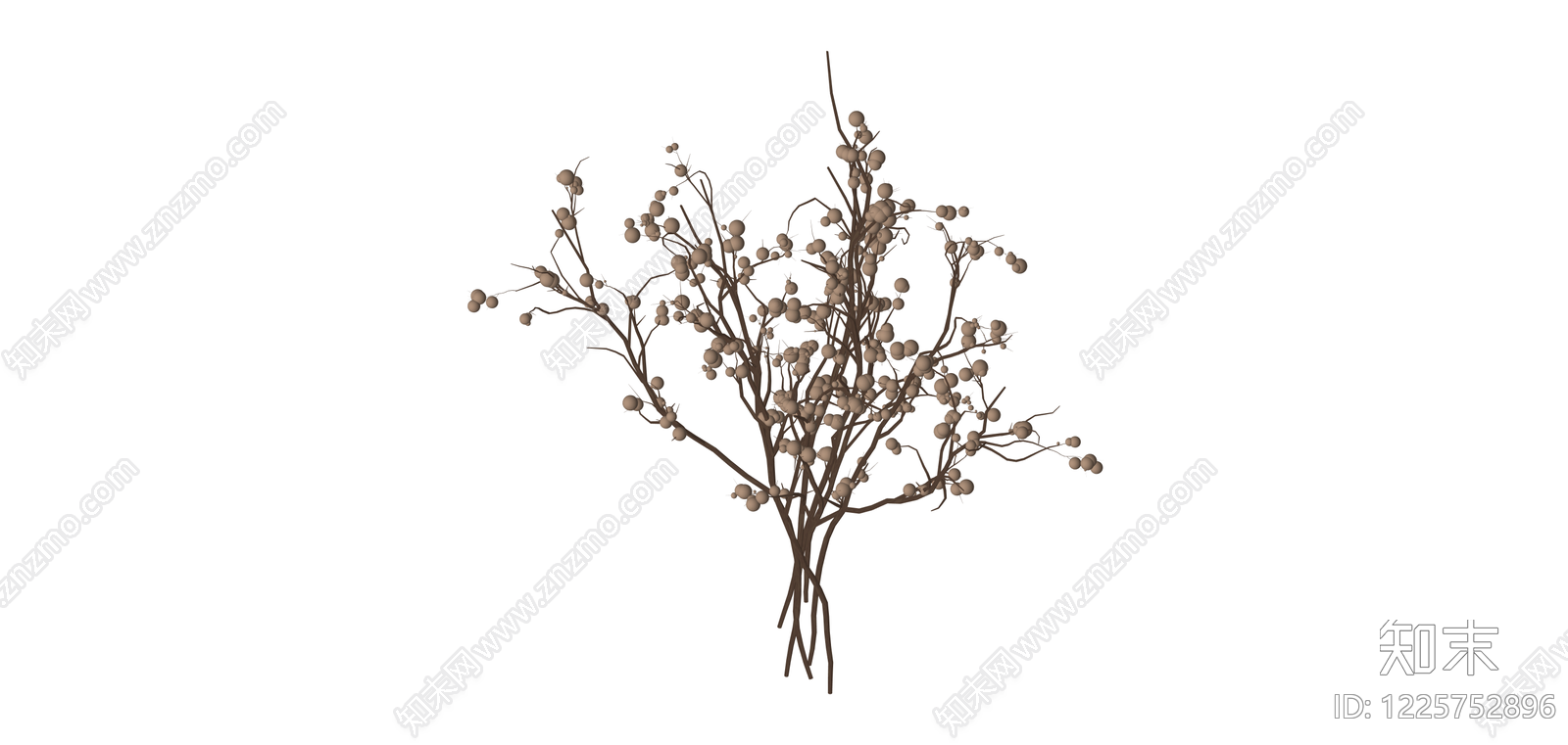 干燥浆果枝条花艺SU模型下载【ID:1225752896】