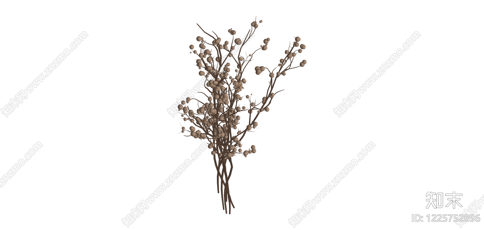 干燥浆果枝条花艺SU模型下载【ID:1225752896】