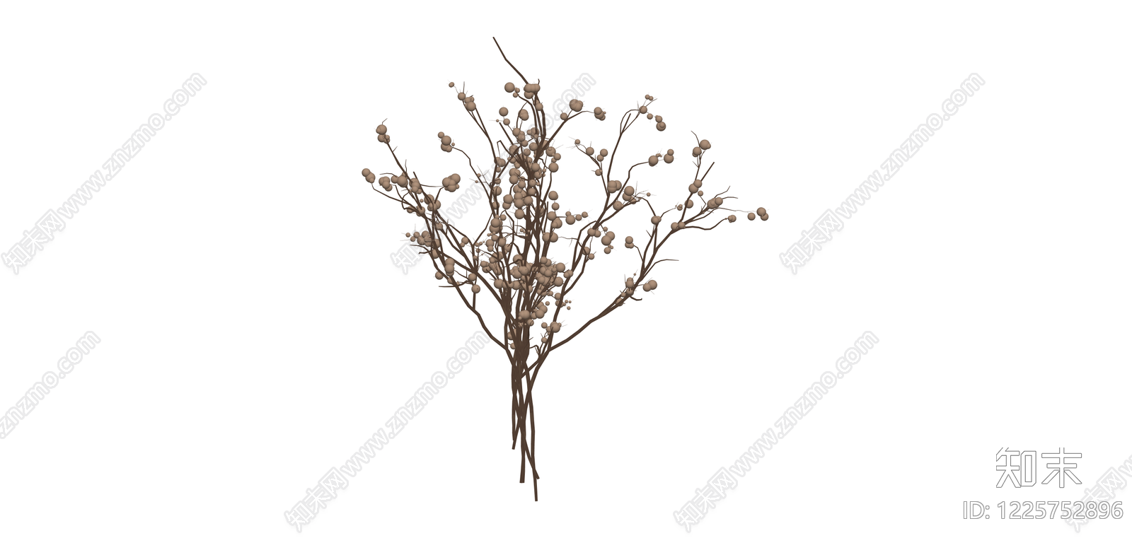 干燥浆果枝条花艺SU模型下载【ID:1225752896】