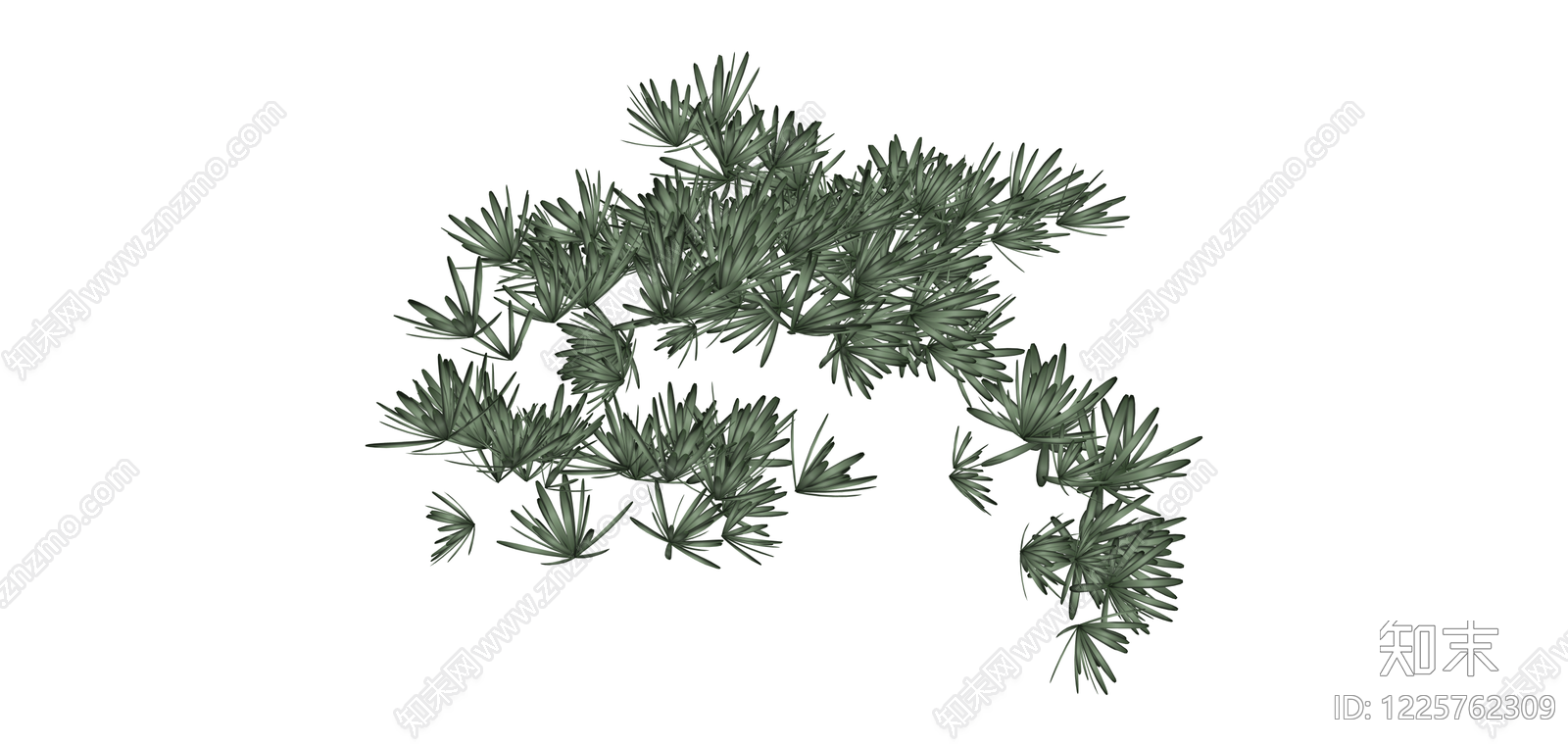 松树枝叶植物组件SU模型下载【ID:1225762309】