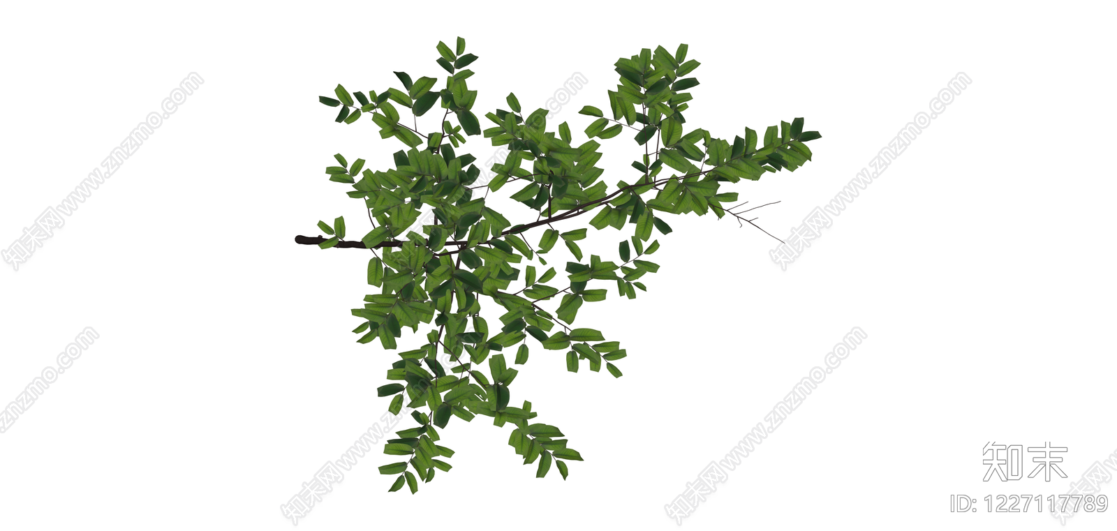 独立绿植小树SU模型下载【ID:1227117789】