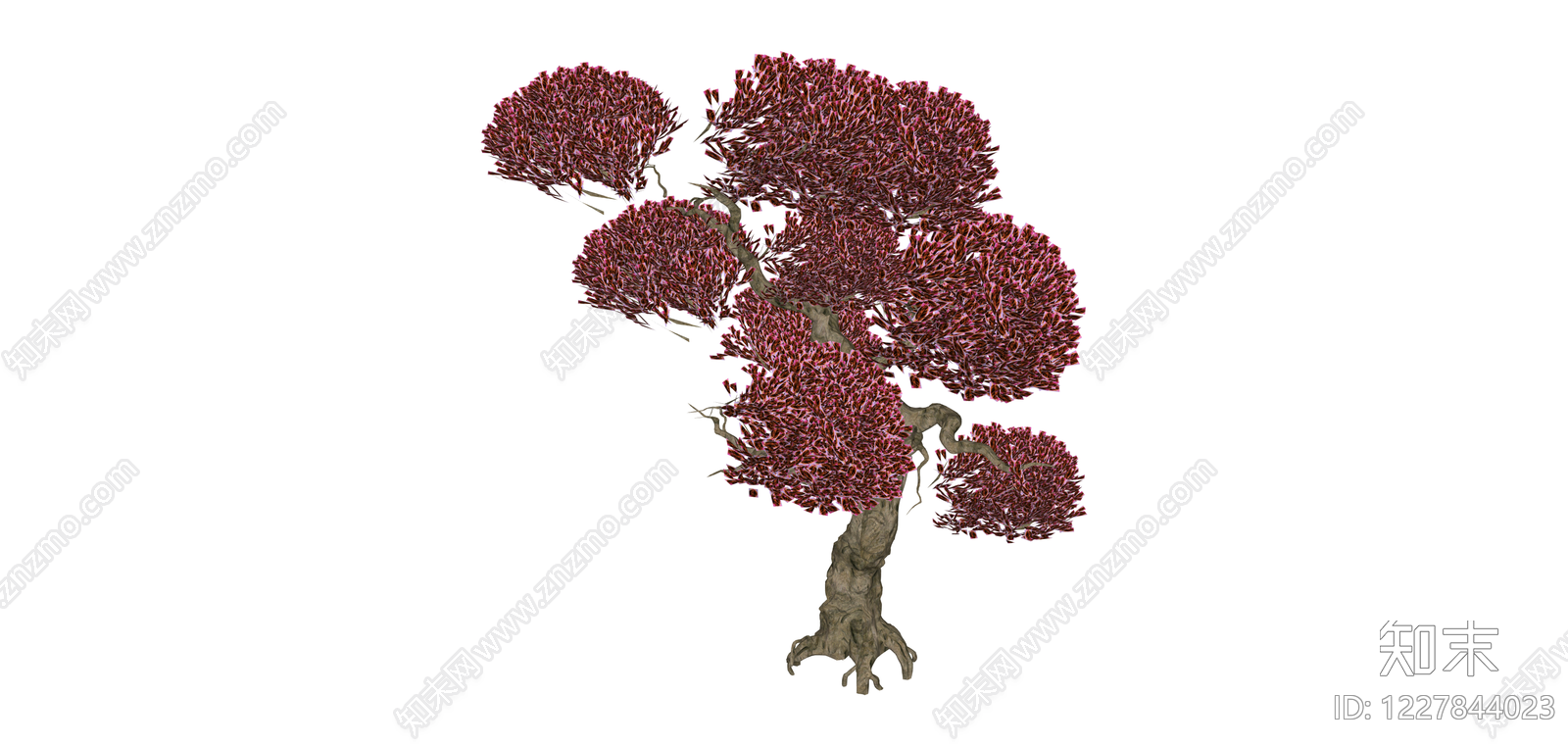红冠景观树SU模型下载【ID:1227844023】