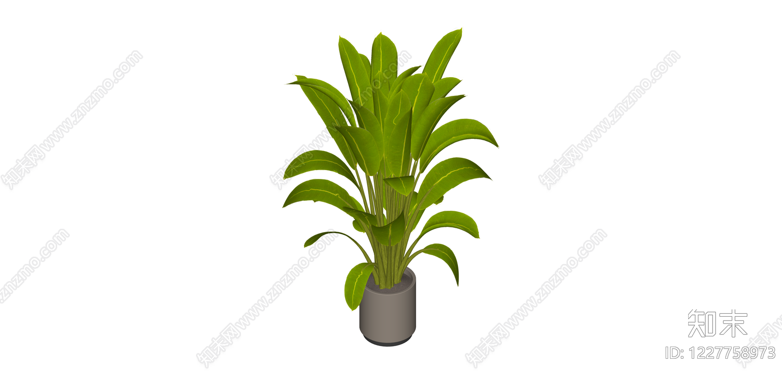 带盆绿植盆栽SU模型下载【ID:1227758973】