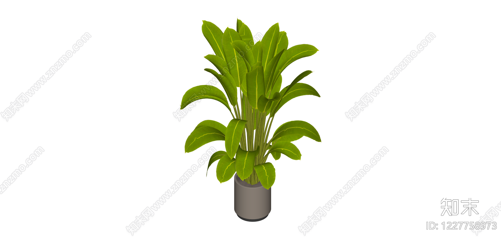 带盆绿植盆栽SU模型下载【ID:1227758973】
